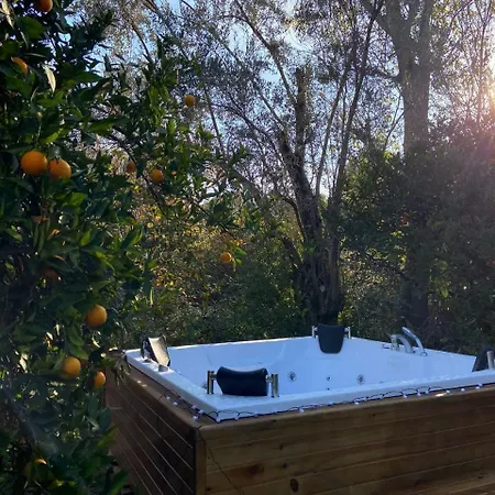 Orangegardenhomes