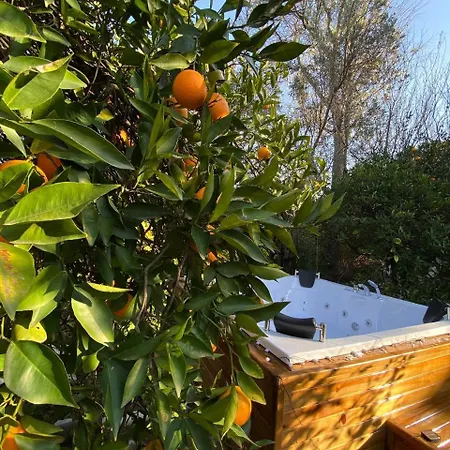 Orangegardenhomes ヴィラ