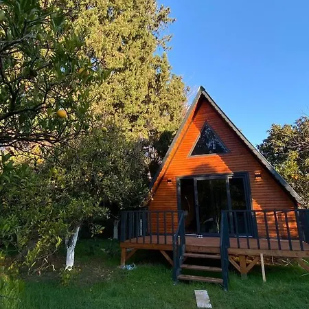 Orangegardenhomes 安塔利亚