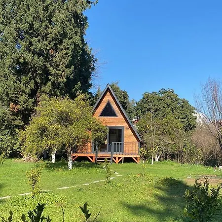 Orangegardenhomes Villa *