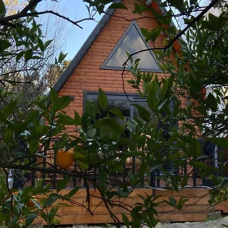Orangegardenhomes 别墅 安塔利亚